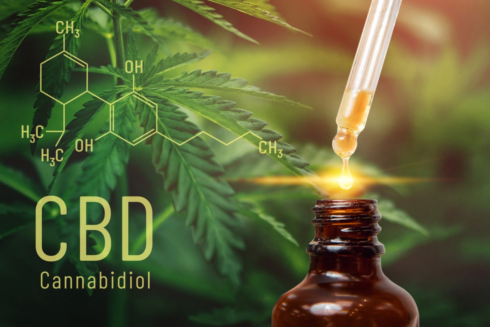 What Are the Greatest CBD Business Opportunities?